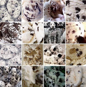 Dalmations or icecream? Very similar image textures can be difficult for the visual system to tell apart.
